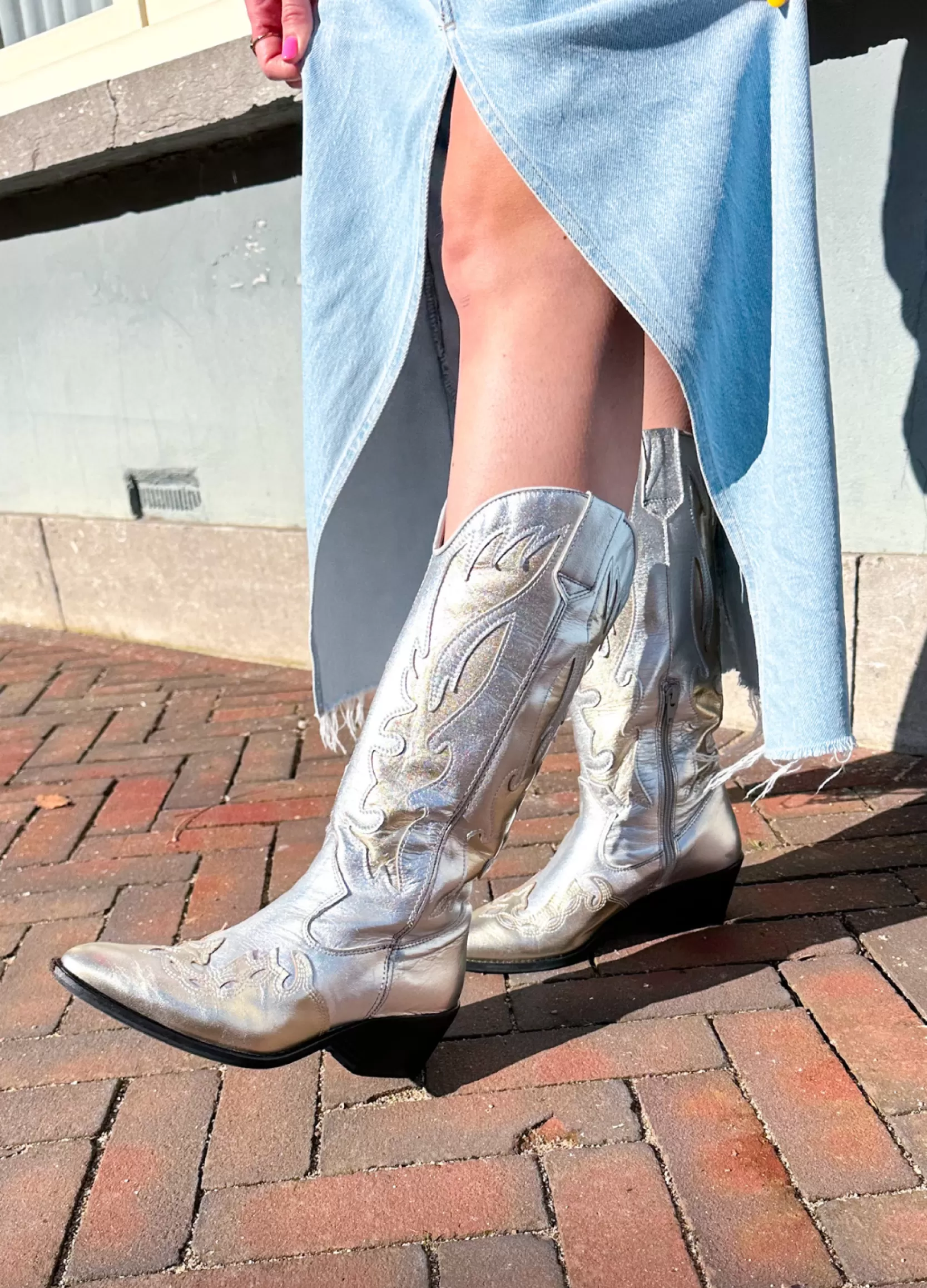 DWRS label WESTERNBOOTS>REGINA metallic - Westernboots | Silver / Champagne